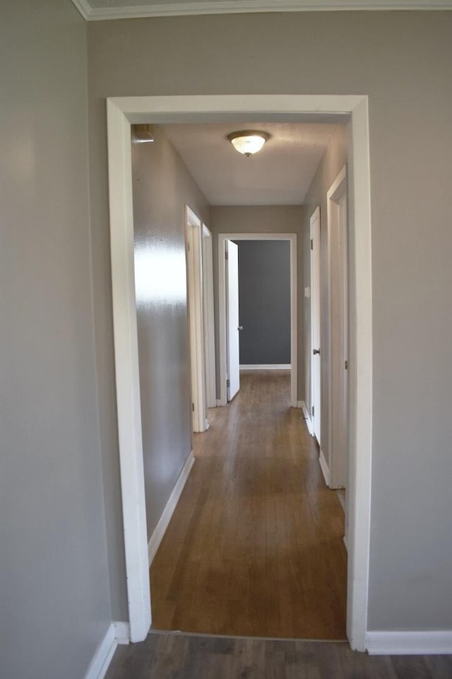 hallway with dark wood-type flooring