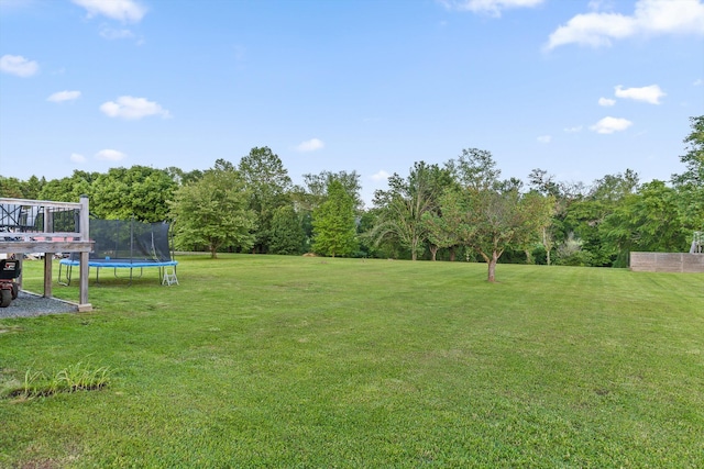 view of grassy yard with a trampoline