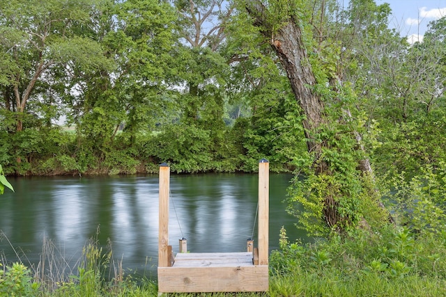 dock with a water view