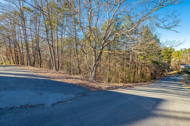 Listing photo 2 for 0 French St Lot 11, Rossville GA 30741