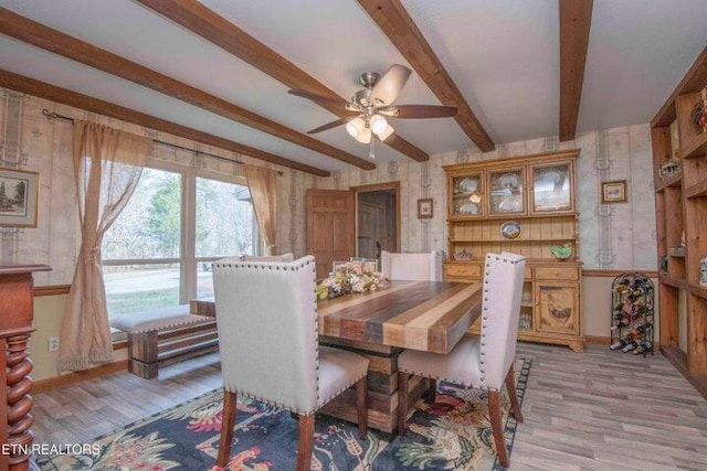 dining room featuring ceiling fan and light hardwood / wood-style flooring