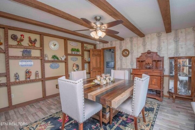 dining area featuring ceiling fan, light hardwood / wood-style floors, and beam ceiling