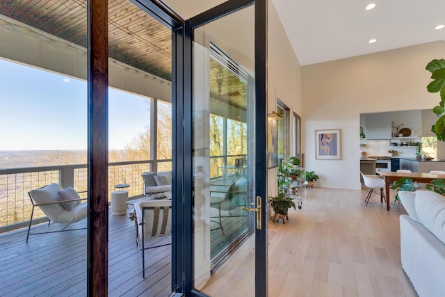 entryway featuring a wealth of natural light and light wood-type flooring