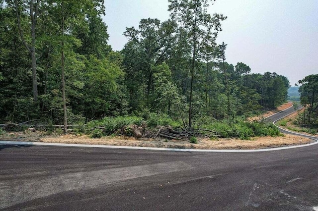 Listing photo 2 for 132 County Road 155 Lot 9, Riceville TN 37370