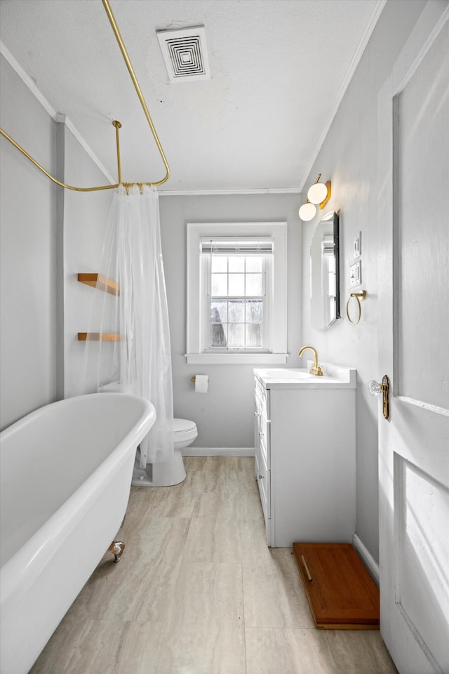 bathroom featuring toilet, crown molding, and vanity