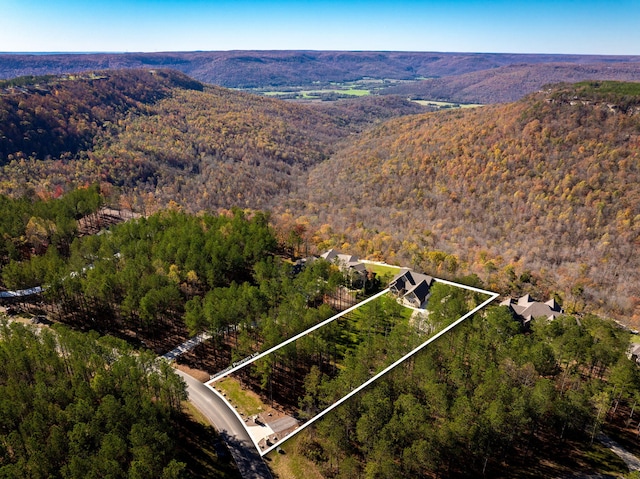 3745 Raulston Falls Rd, Jasper, TN 37347 - drone / aerial view