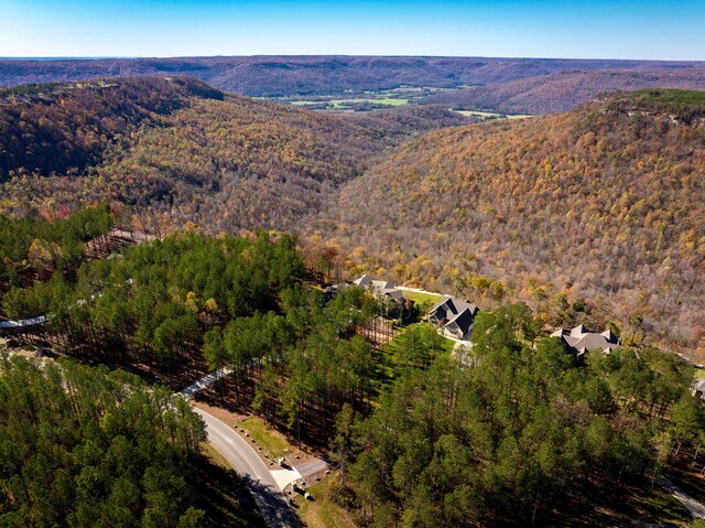 3745 Raulston Falls Rd, Jasper, TN 37347 - drone / aerial view