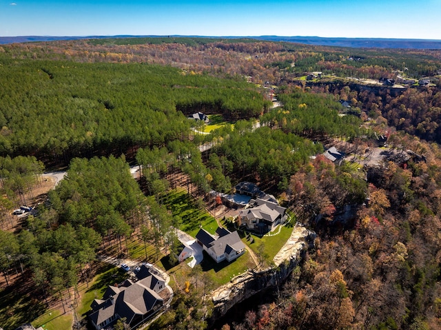 3745 Raulston Falls Rd, Jasper, TN 37347 - aerial view