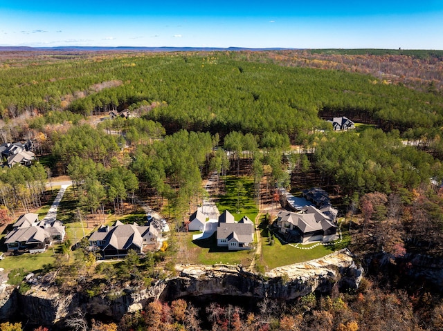 3745 Raulston Falls Rd, Jasper, TN 37347 - bird's eye view
