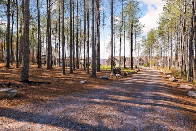 3745 Raulston Falls Rd, Jasper, TN 37347 - view of street