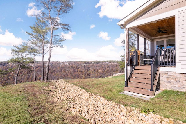 3745 Raulston Falls Rd, Jasper, TN 37347 - view of yard with ceiling fan