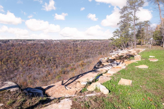 3745 Raulston Falls Rd, Jasper, TN 37347 - view of yard