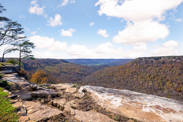 3745 Raulston Falls Rd, Jasper, TN 37347 - view of mountain feature