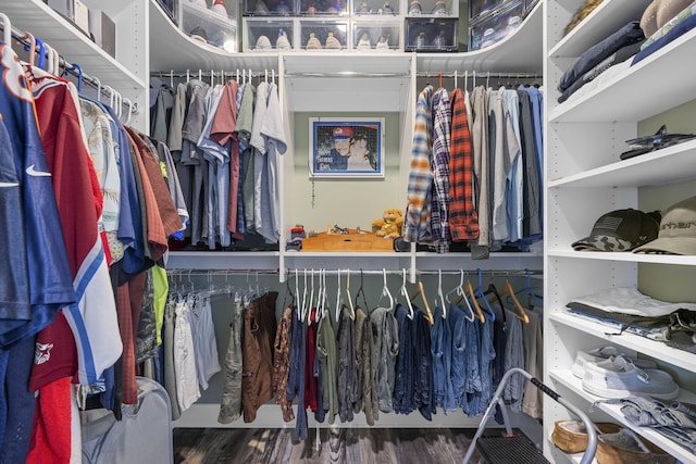 3745 Raulston Falls Rd, Jasper, TN 37347 - spacious closet with hardwood / wood-style flooring
