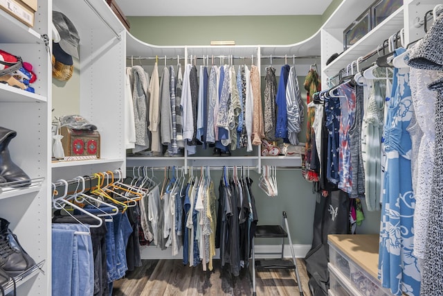 3745 Raulston Falls Rd, Jasper, TN 37347 - walk in closet featuring hardwood / wood-style floors
