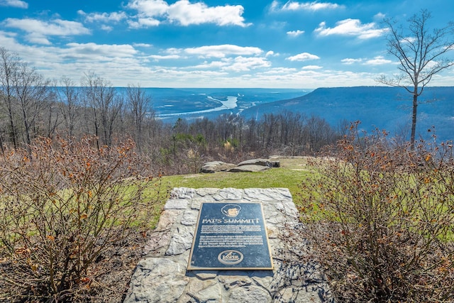 3745 Raulston Falls Rd, Jasper, TN 37347 - mountain view with a water view