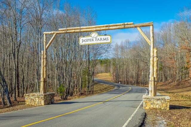 3745 Raulston Falls Rd, Jasper, TN 37347 - view of road
