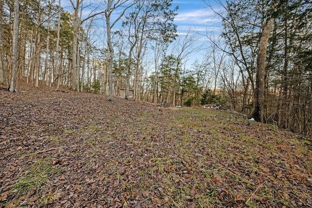 view of landscape