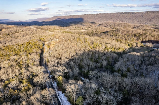 bird's eye view featuring a mountain view