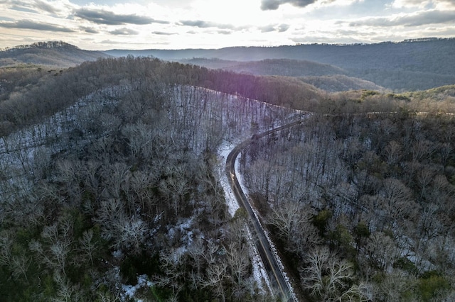 aerial view featuring a mountain view