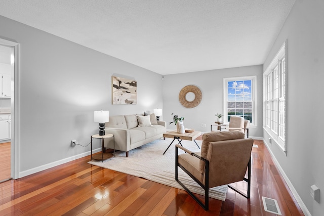 living room featuring hardwood / wood-style flooring and a textured ceiling