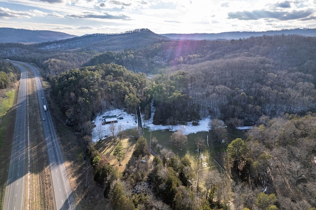 birds eye view of property with a mountain view