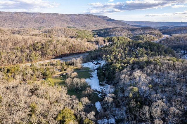 drone / aerial view featuring a mountain view