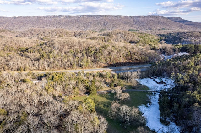 aerial view featuring a mountain view