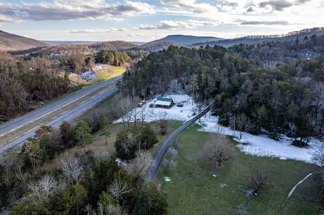 drone / aerial view featuring a mountain view