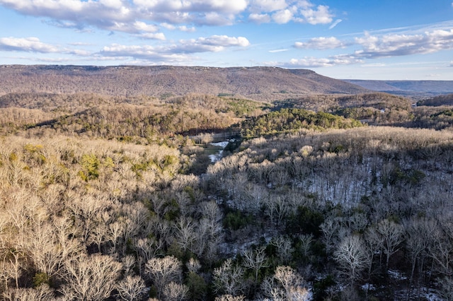 view of mountain feature