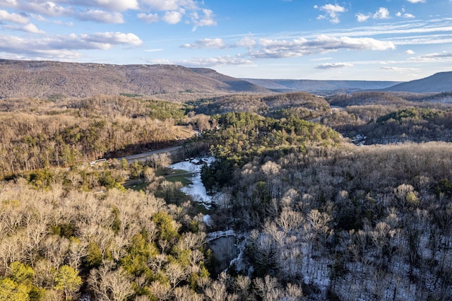 property view of mountains