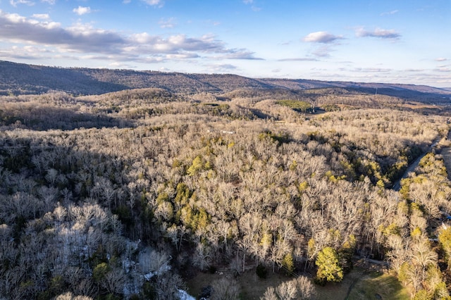 drone / aerial view with a mountain view