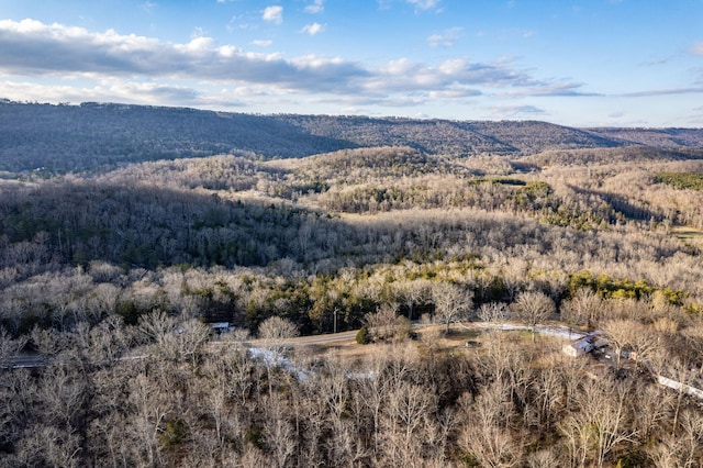 view of mountain feature