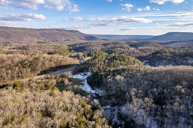 property view of mountains