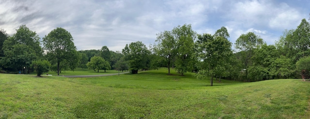 view of property's community featuring a yard