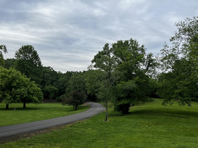 view of home's community with a yard