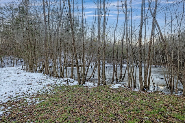 view of water feature