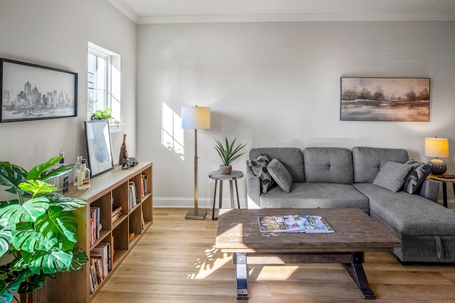 living room featuring light hardwood / wood-style flooring and ornamental molding