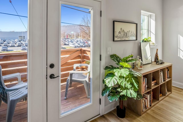 doorway with light hardwood / wood-style floors and plenty of natural light