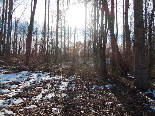 view of snowy landscape