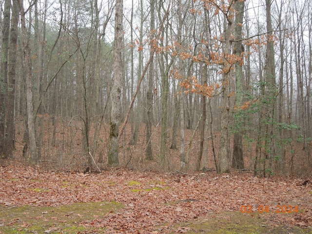 view of local wilderness