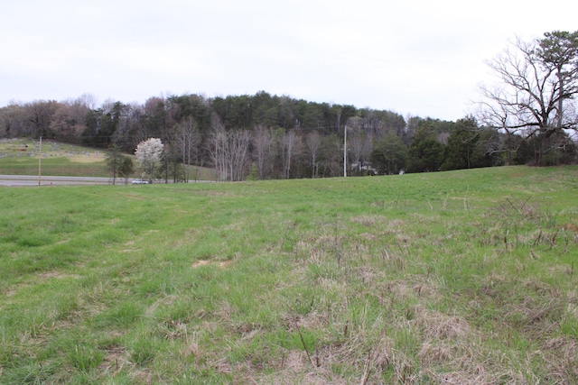 Listing photo 3 for 1094 Rhea County Hwy Lot 10, Dayton TN 37321