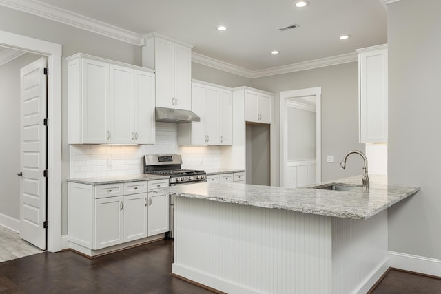 kitchen featuring light stone countertops, white cabinetry, dark hardwood / wood-style floors, and sink