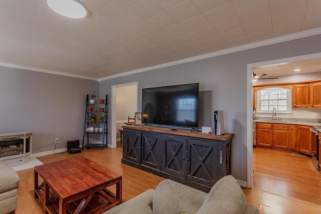 living area featuring light wood finished floors, baseboards, and ornamental molding