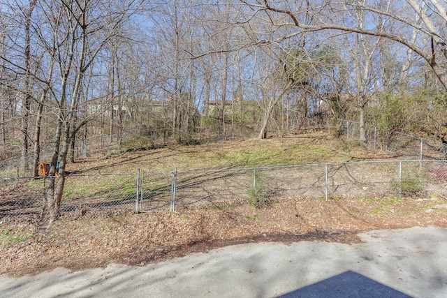 view of yard with a gate and fence