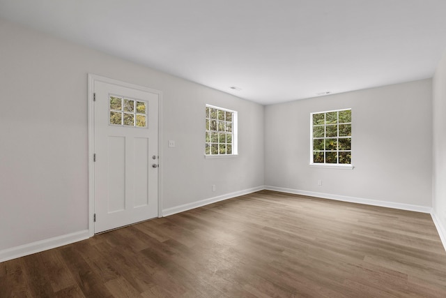 foyer entrance featuring a healthy amount of sunlight and wood-type flooring