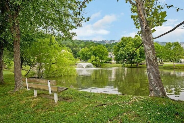 property view of water