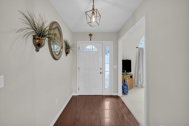 entrance foyer featuring dark hardwood / wood-style floors and a healthy amount of sunlight