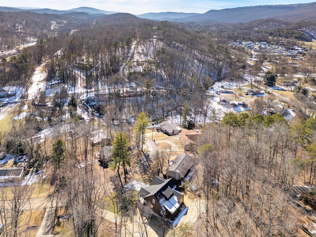 bird's eye view with a mountain view