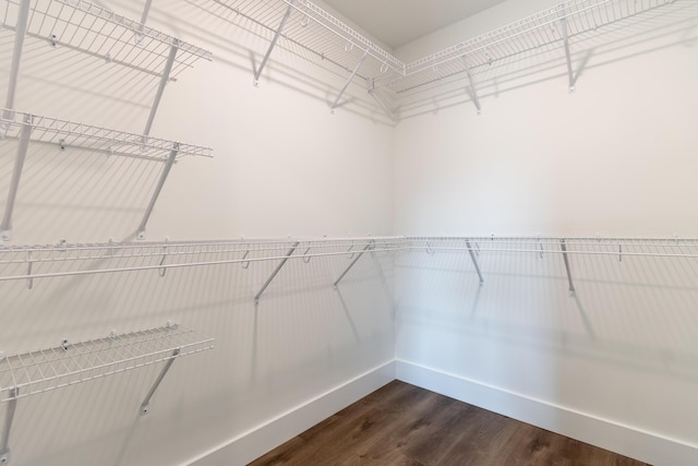 spacious closet featuring dark wood-type flooring